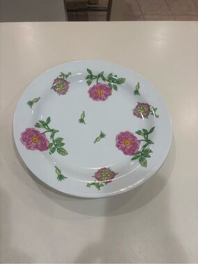 Rare Richard Ginori Italy plates
